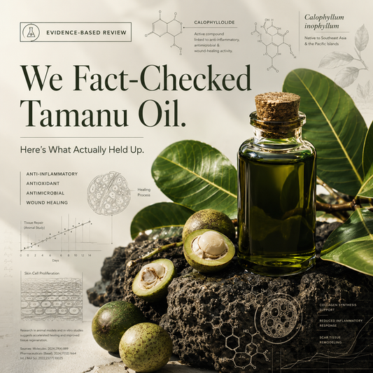 Tamanu Oil for Scars and Acne Marks: Nature's Healing Fruit From Asia