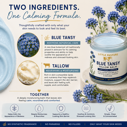 REDNESS: Blue Tansy Tallow Balm