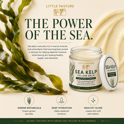 Sea Kelp Infused Functional Tallow Balm