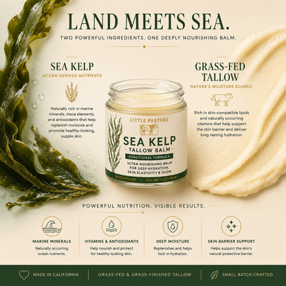 Sea Kelp Infused Functional Tallow Balm