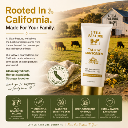 #1 Rated Reef-Safe Tallow & Non-Nano Zinc Oxide Mineral Sunscreen SPF 50, Water Resistant 80 Min