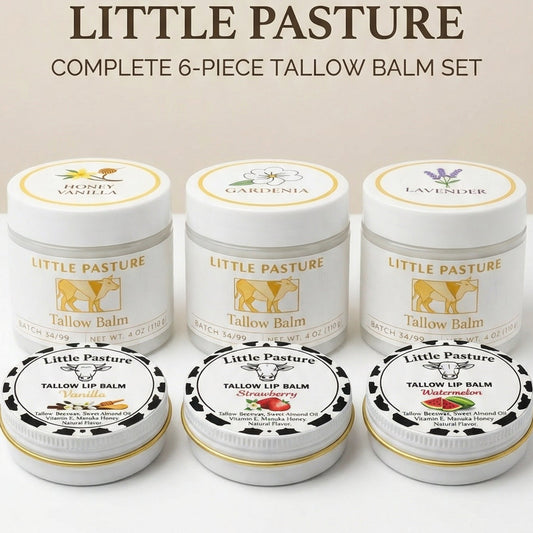 Best Sellers Set - 3 Moisturizers & 3 Lip Balms